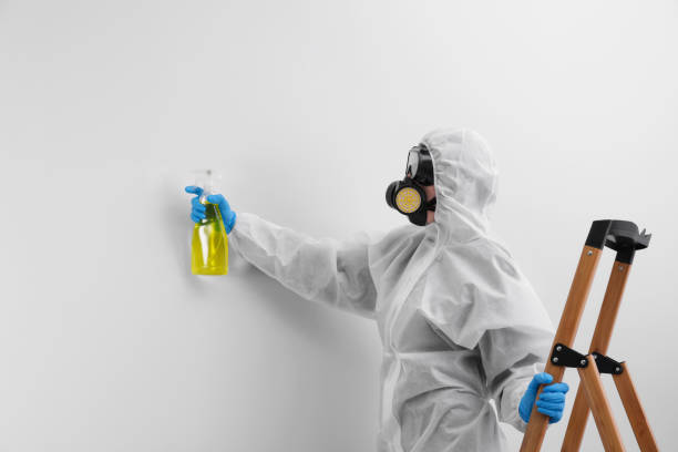 Why You Should Choose Our Mold Remediation Services in Oregon, IL